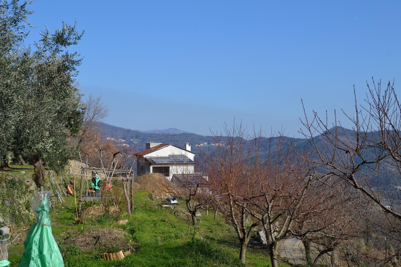 Bed and Breakfast Joie De Vivre Calice Ligure Exterior foto